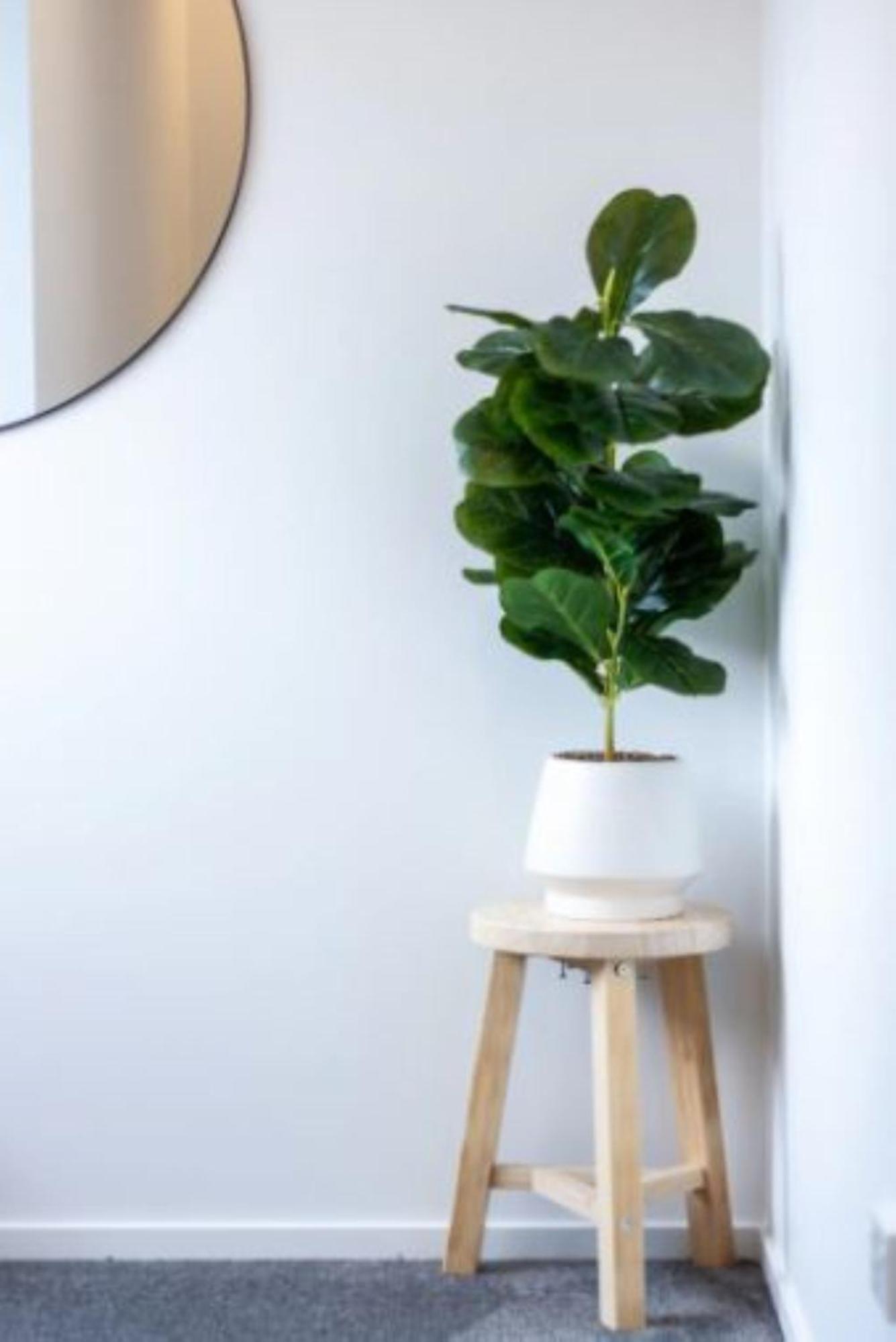 Christchurch Entertainment Hub 2 Bed 2 Bath W Carpark Екстериор снимка